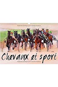Chevaux Et Sport 2017