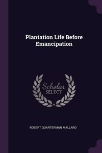 Plantation Life Before Emancipation