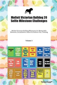 Mollett Victorian Bulldog 20 Selfie Milestone Challenges Mollett Victorian Bulldog Milestones for Memorable Moments, Socialization, Indoor & Outdoor Fun, Training Volume 3