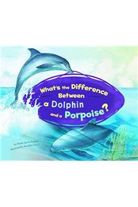 What's the Difference Between a Dolphin and a Porpoise?