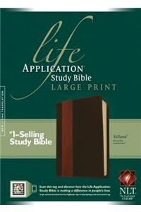 NLT Life Application Study Bible Large Print, Indexed