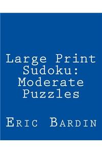 Large Print Sudoku