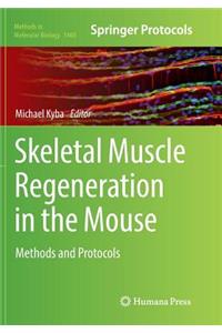 Skeletal Muscle Regeneration in the Mouse