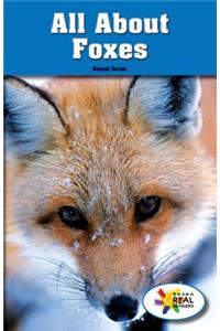 All about Foxes