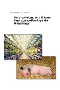 Working the Land With 10 Acres