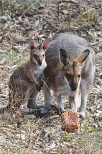 Mother Wallaby with Joey Journal