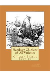 Hamburg Chickens of All Varieties