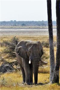 Elephant with Tusks Animal Journal