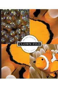The Life Cycle of a Clown Fish