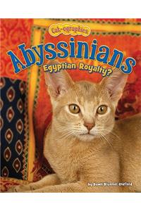 Abyssinians