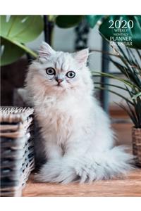 2020 Weekly Monthly Planner Calendar