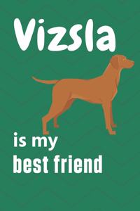 Vizsla is my best friend