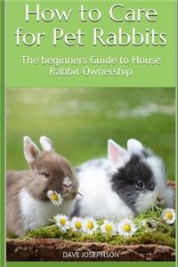 How to Care for Pet Rabbits