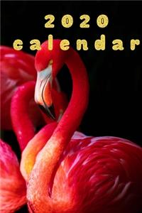 2020 Flamingo Calendar Planner Organizer