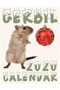 Gerbil 2020 Calendar