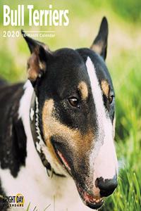BULL TERRIERS WALL CALENDAR 2020