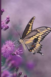 Butterfly Journal