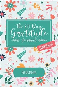 The 30 Day Gratitude Journal Experiment for Beginners