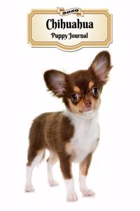 2020 Chihuahua Puppy Journal