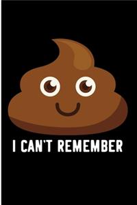 I Can't Remember