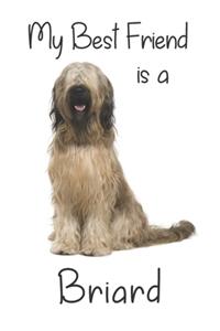 My best Friend is a Briard