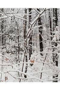 Winter Season School Composition Book After Snowstorm 130 Pages