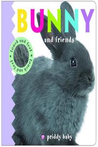 Touch & Feel Bunny and Friends