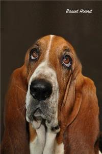 Basset Hound: Pocket Notebook for Pets, Critters and All Kinds of Animal Lovers