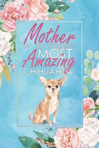 Mother of the World's Most Amazing Chihuahua
