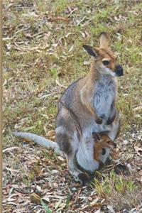 Wallaby Blank Lined Notebook Journal