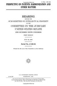 Perspective on Patents