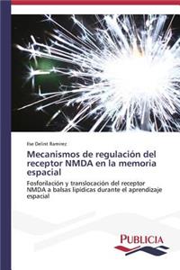 Mecanismos de regulación del receptor NMDA en la memoria espacial