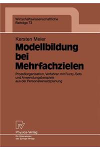 Modellbildung bei Mehrfachzielen