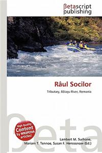 Raul Socilor