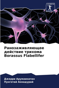 Ранозаживляющее действие трихома Borassus Flabellifer