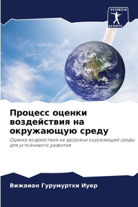 Процесс оценки воздействия на окружающую