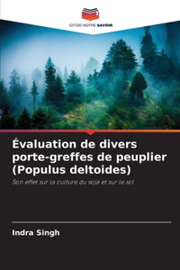 Évaluation de divers porte-greffes de peuplier (Populus deltoides)