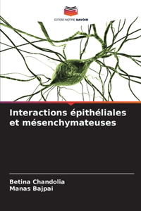 Interactions épithéliales et mésenchymateuses