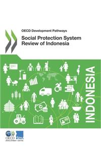 Social Protection System Review of Indonesia