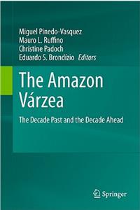 Amazon Várzea: The Decade Past and the Decade Ahead