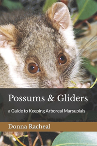 Possums & Gliders