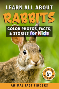 Learn All About Rabbits