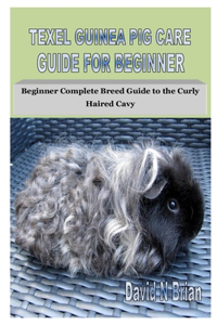 Texel Guinea Pig Care Guide for Beginner