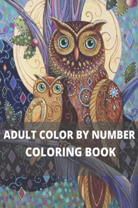 Adult Color By Number Coloring Book