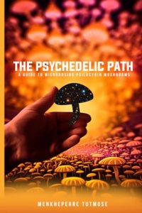 Psychedelic Path