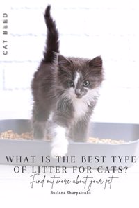 What is the best type of litter for cats?