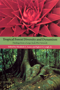 Tropical Forest Diversity and Dynamism