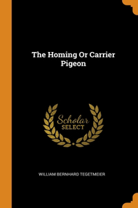 The Homing Or Carrier Pigeon