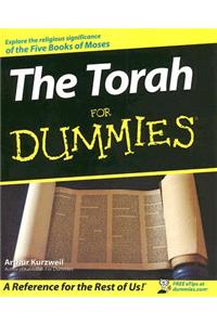 The Torah For Dummies