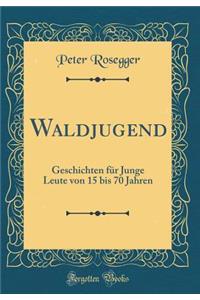 Waldjugend: Geschichten für Junge Leute von 15 bis 70 Jahren (Classic Reprint)